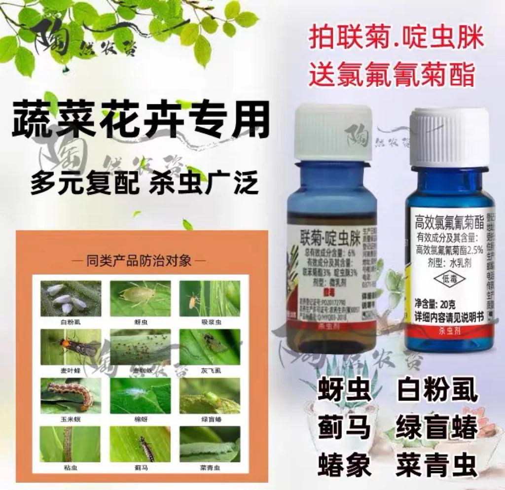 薊馬防治指南 輕松應對植物蟲害！