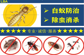 專業(yè)消殺除蟲除蟻 為您打造無(wú)蟲害的舒適家園