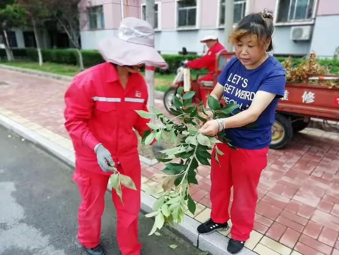 濱南服務(wù)部時(shí)新春服務(wù)班 病蟲害防治不松懈，綠色守護(hù)在行動(dòng)